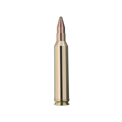 Karabinski metak RWS 300 WIN.MAG.KS 10.7g/165gr-6028