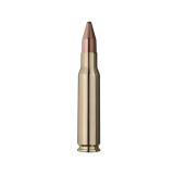 Karabinski metak RWS 308 WIN KS 9.7g/150gr-6036