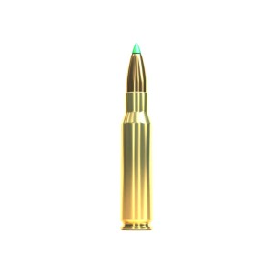 Karabinski metak BELLOT 308 WIN PTS/180gr/11.7g V331532-5790
