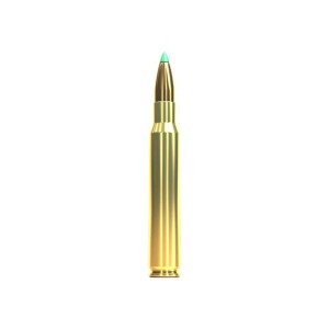 Karabinski metak BELLOT 30-06 SPRING PTS/180gr/11.7g V331742-5791