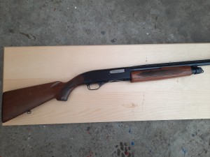 Winchester 20 cal