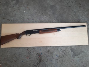 Winchester 20cal