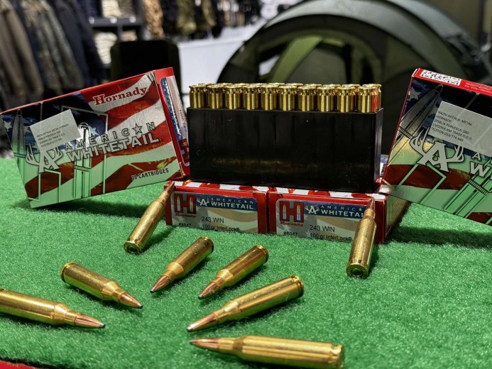 METAK KARABINSKI 243 WIN 100 GR HORNADY