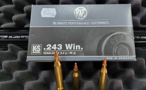 Karabinski metak RWS .243 Win. 6,2 g