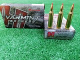 METAK HORNADY 22-250 REM 55grs V-MAX