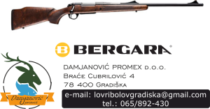 BERGARA B14 TIMBER DM 308 WIN