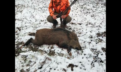 Zimski lov na divlje svinje za pravi užitak lovaca
